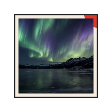 The Photo widget in Bauhaus
