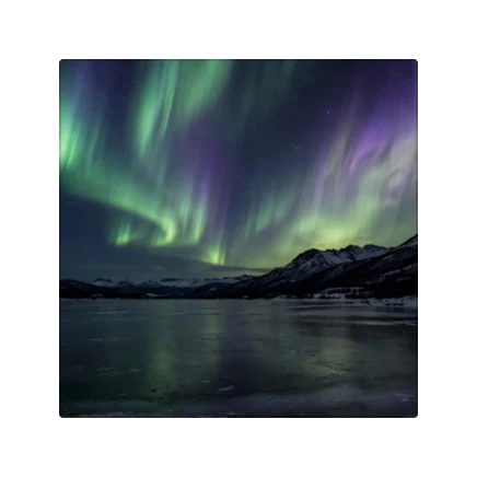 The Photo widget in Field