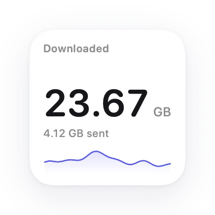 The Total Downloaded widget in Lumen