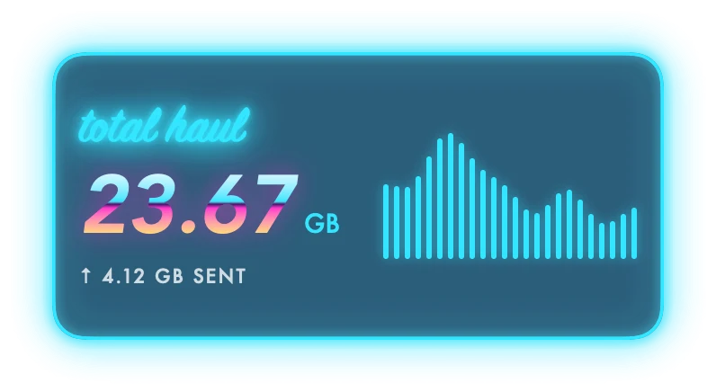 The Total Downloaded widget in Neon