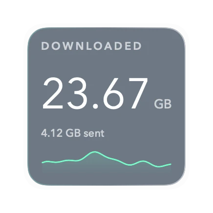 The Total Downloaded widget in Polar