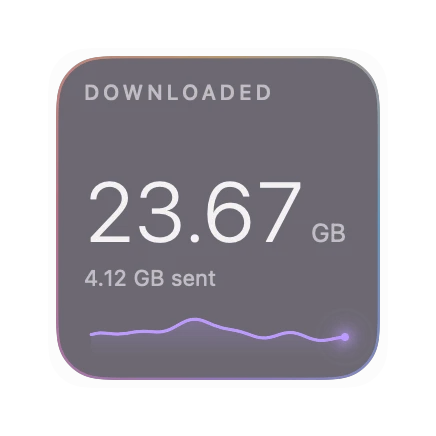 The Total Downloaded widget in Prism