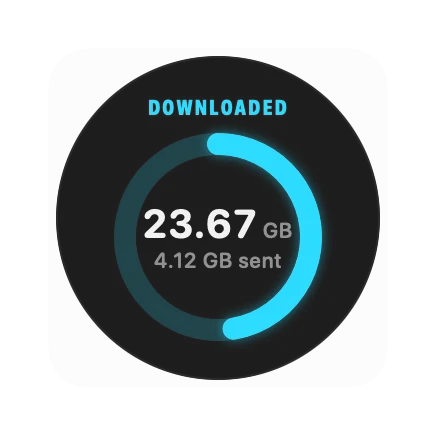 The Total Downloaded widget in Pulse